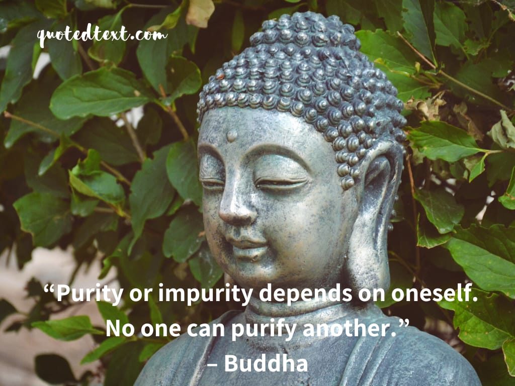 buddha quotes on purity