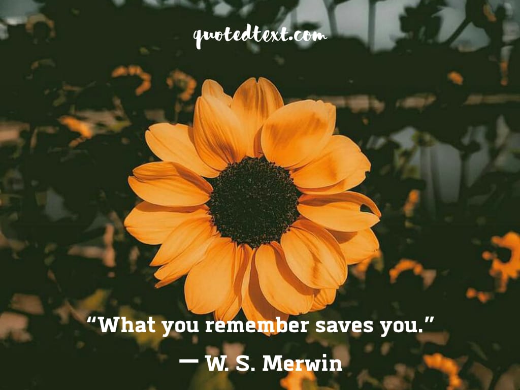 quotes about memories
