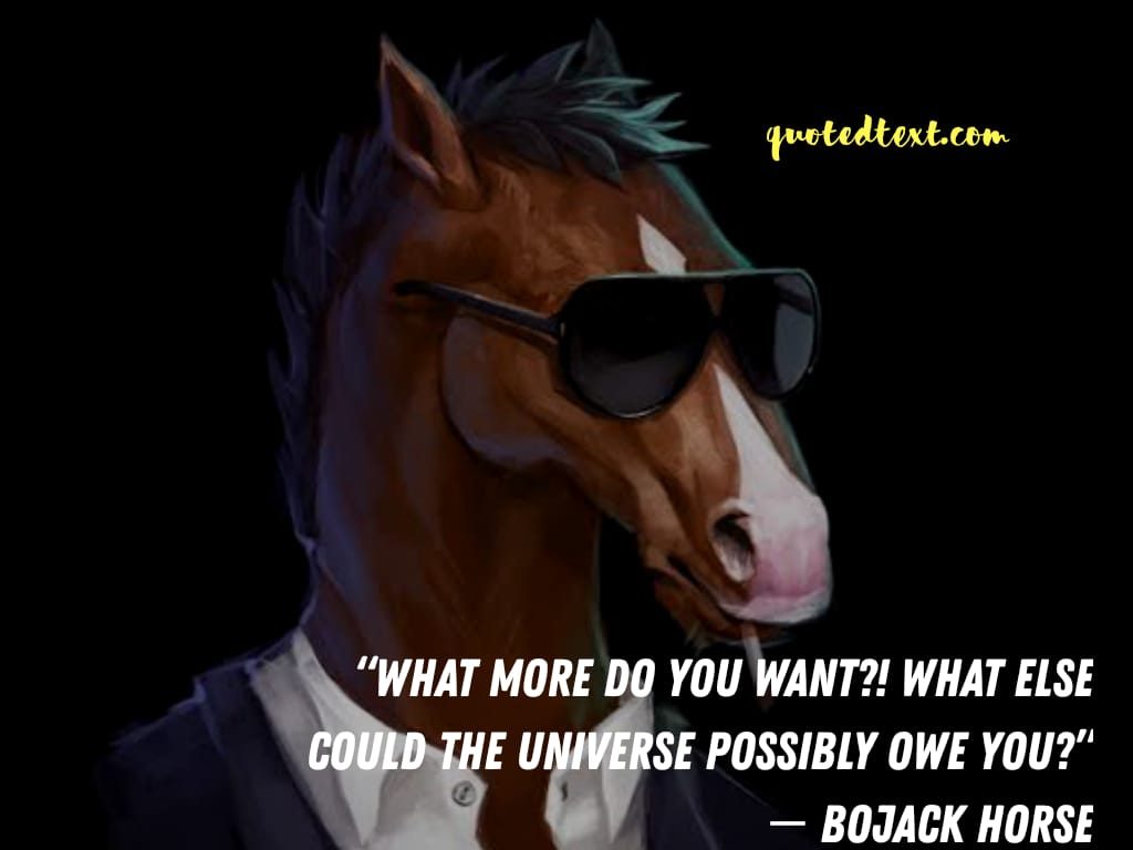 bojack horseman citações sobre os desejos