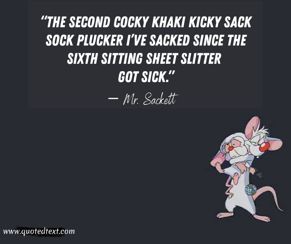 Pinky and the Brain quotes by mr sackett
