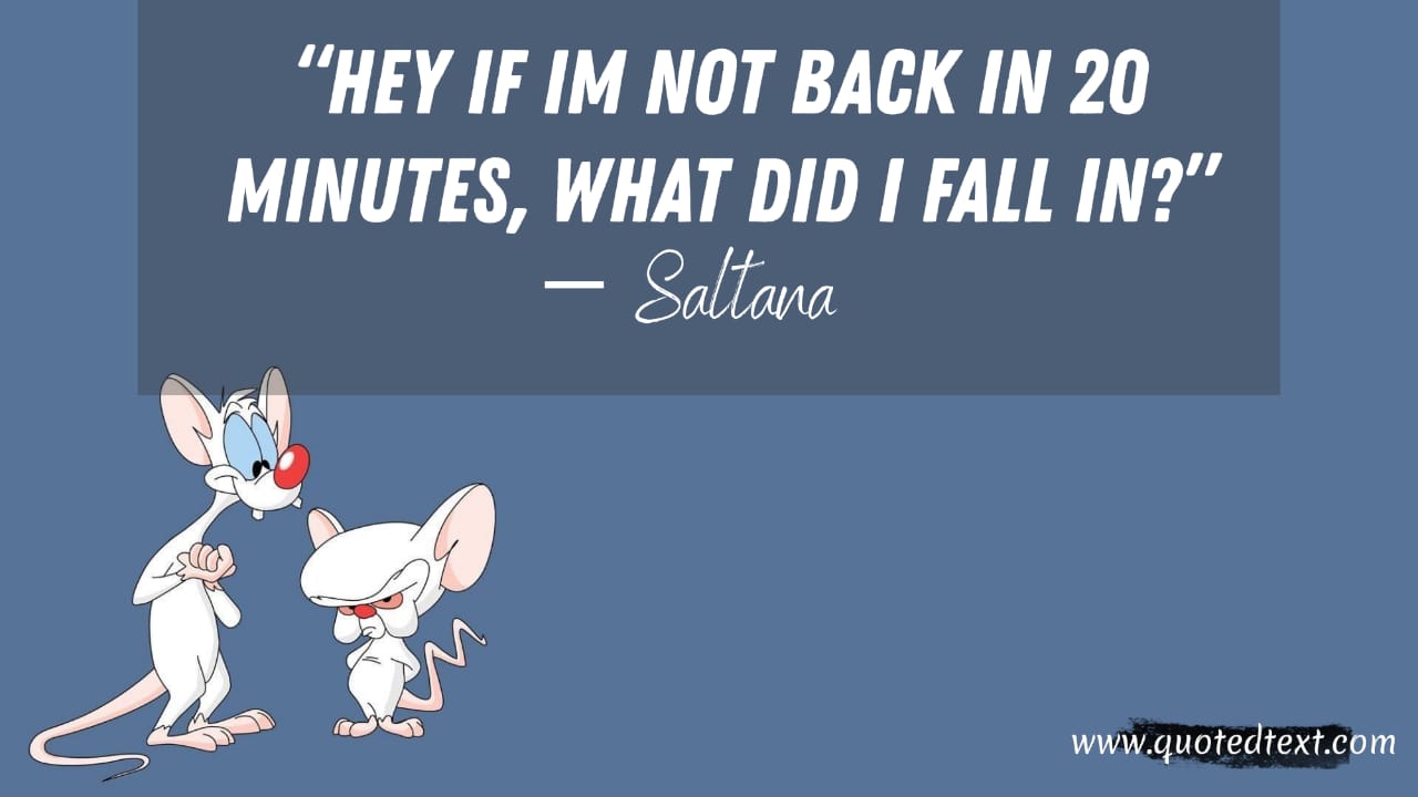Pinky and the Brain quotes by saltana