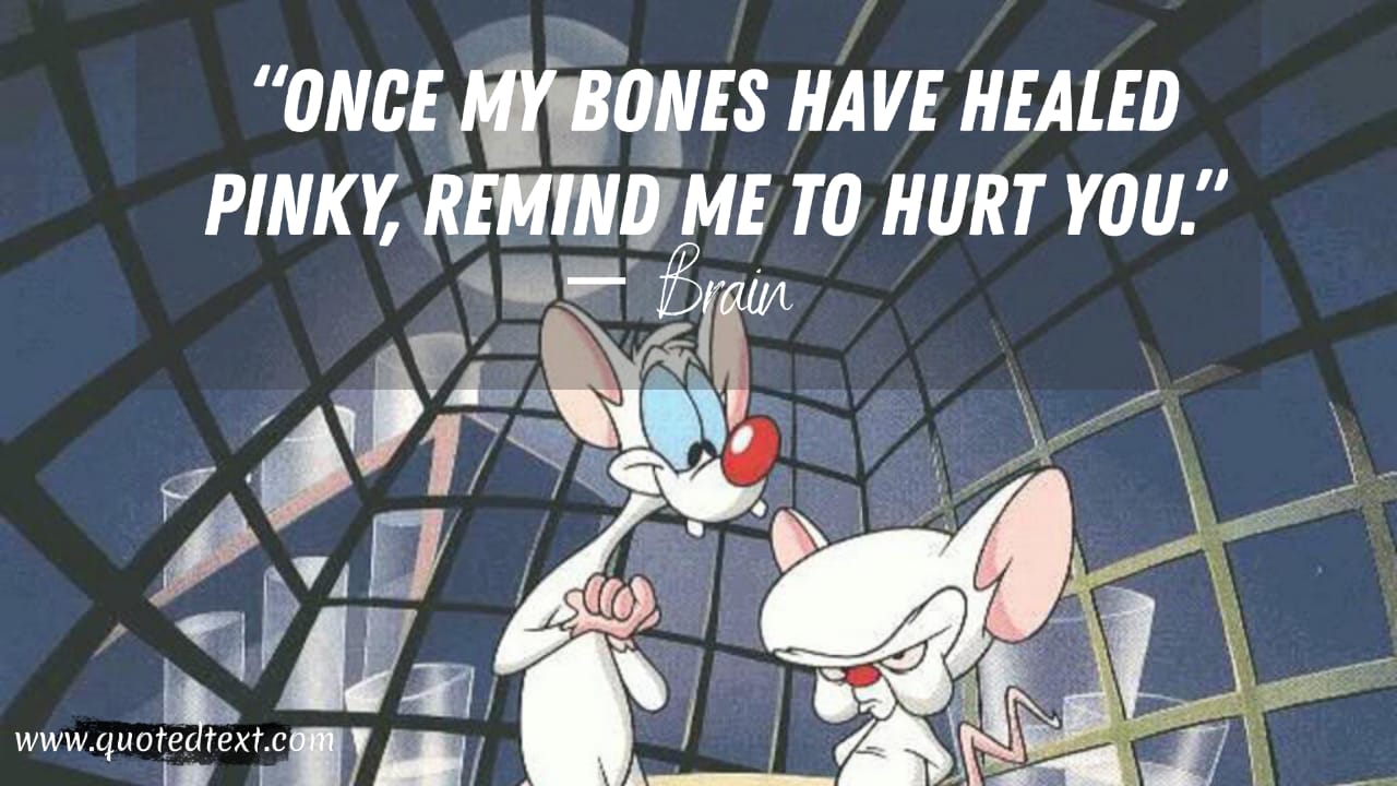 Pinky and the Brain quotes on humor