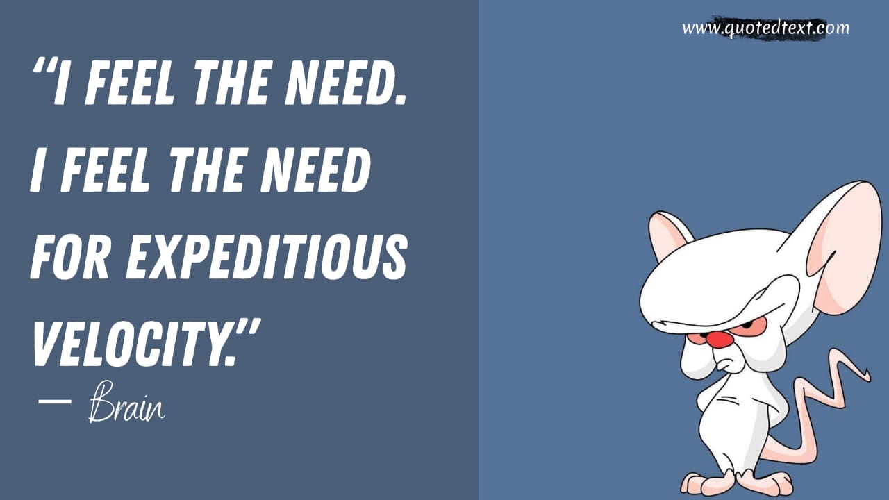 25+ Best Pinky and the Brain Quotes - QuotedText