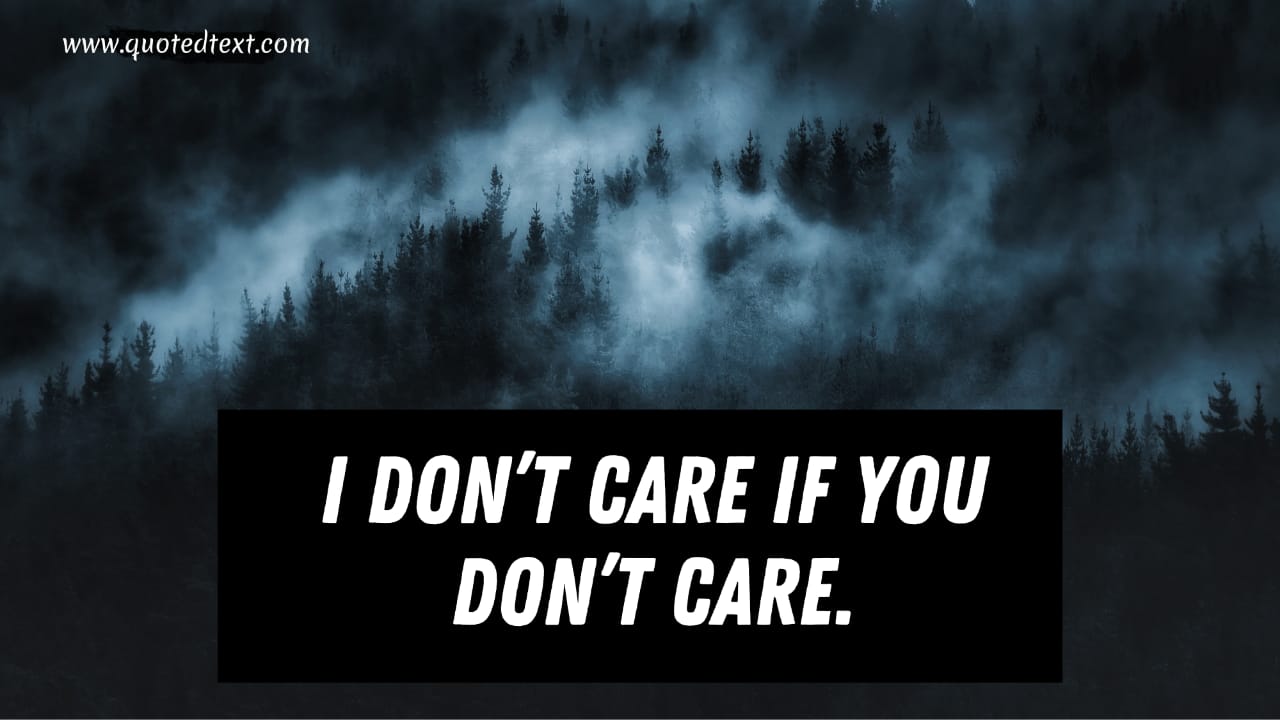 I don't care quotes