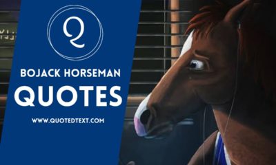 Bojack Horseman quotes